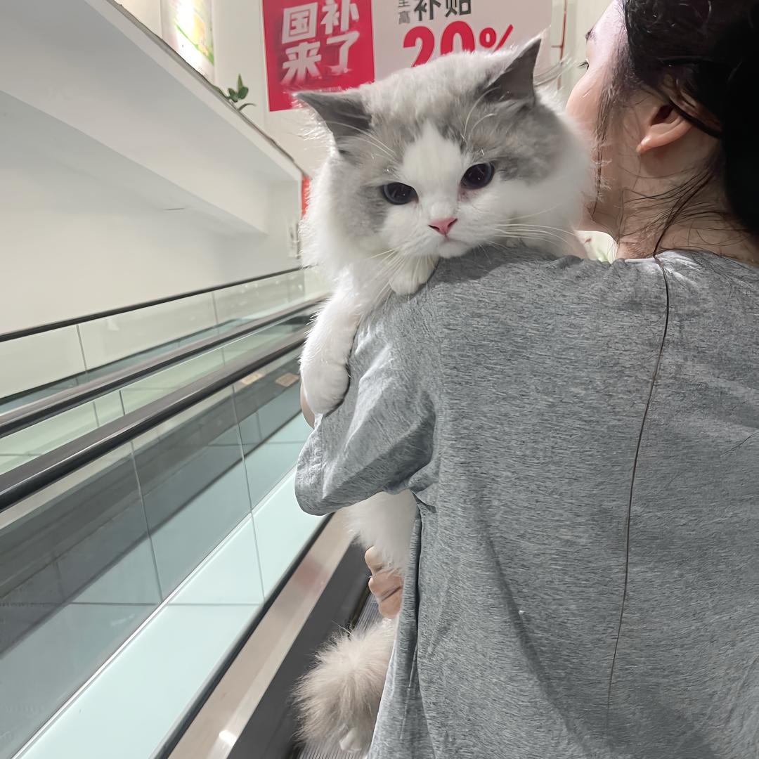 团团财宝