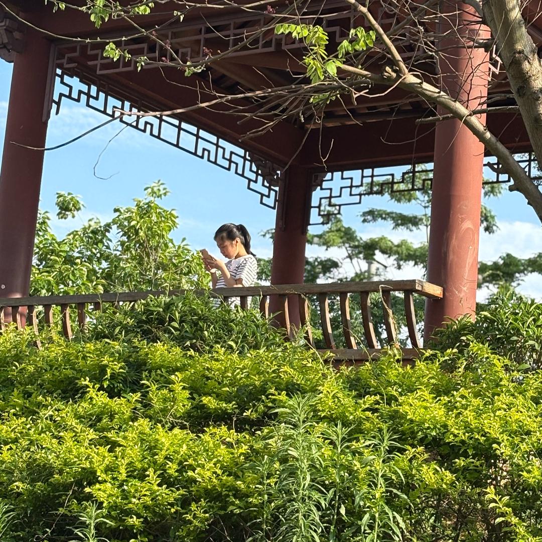 禾下留白