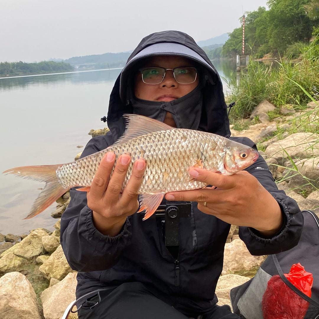 经济学原理楼上学钓鱼