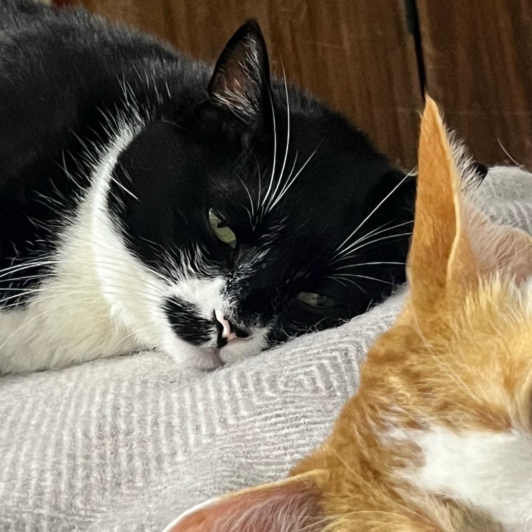 做二休五迷hotel