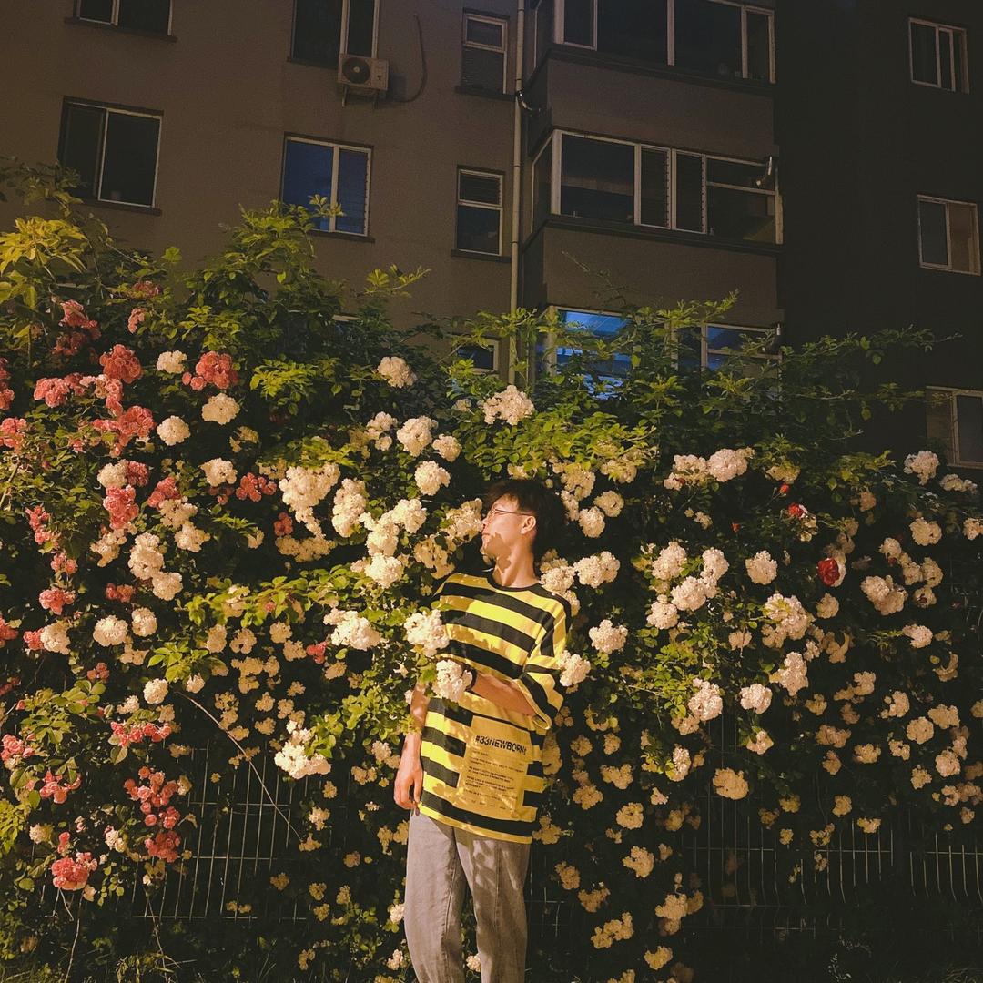 花花不花花