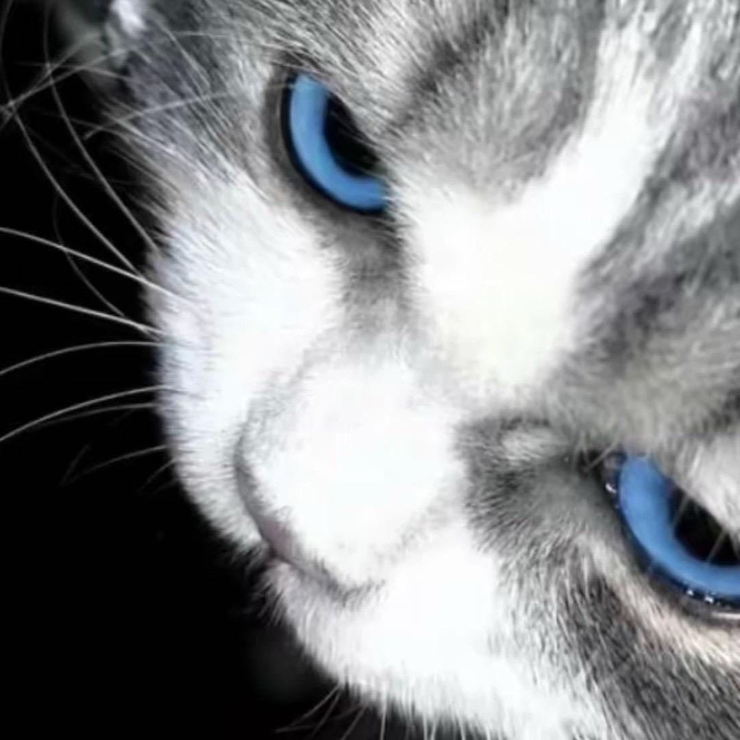 关小浅【蛋仔派对】