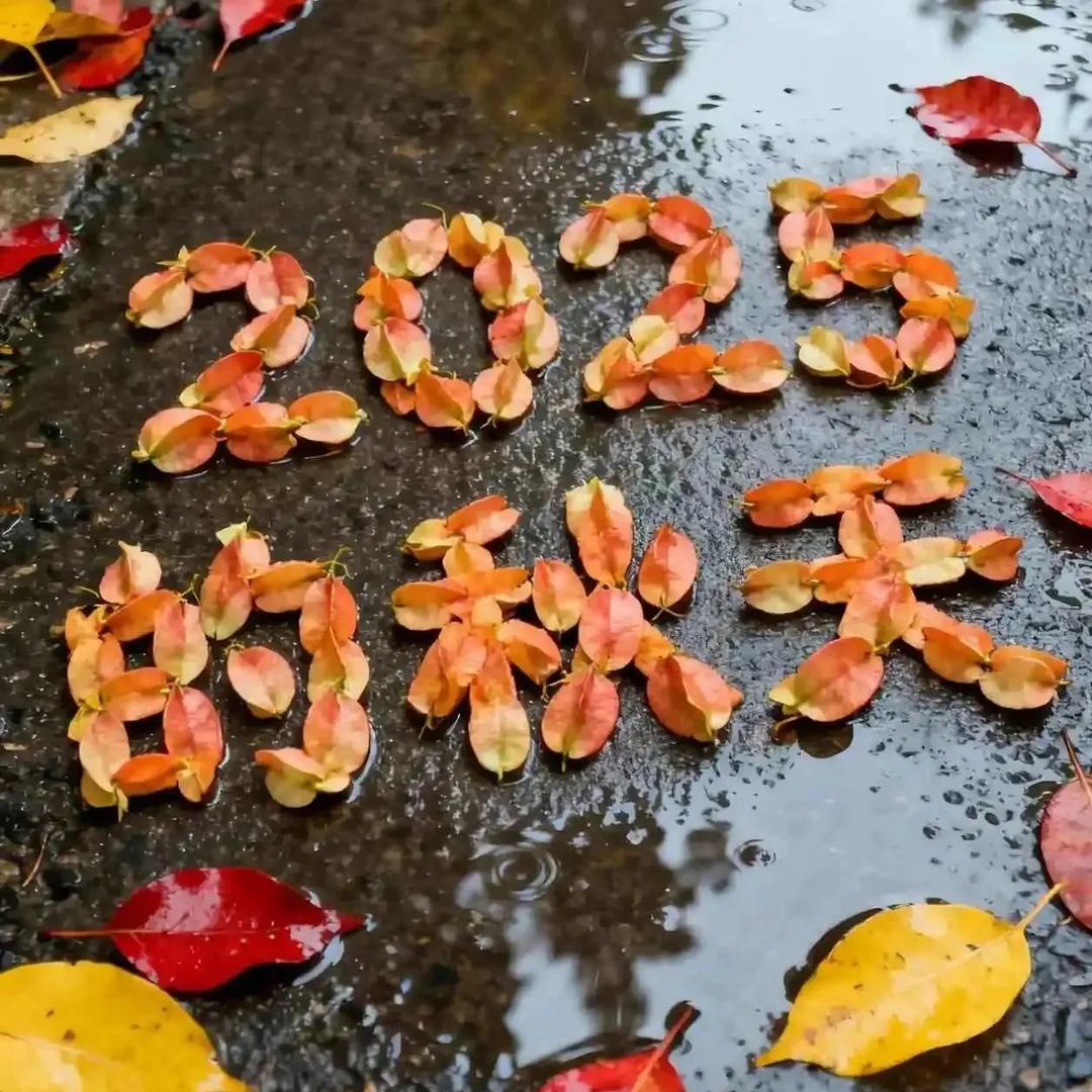 🌻灌南，水悦龙光，欧普照明