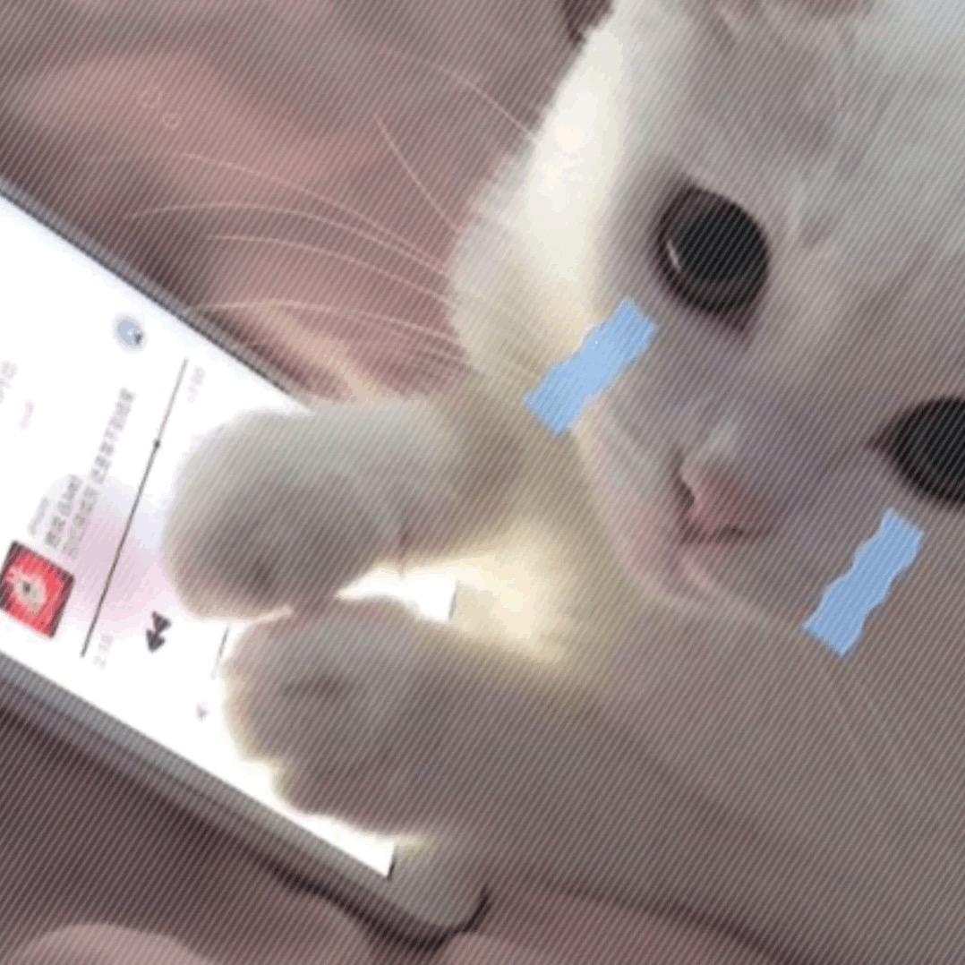 🌈ILIL