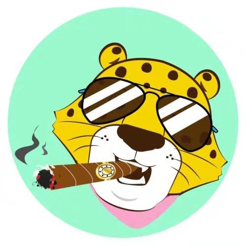 熬夜的猫