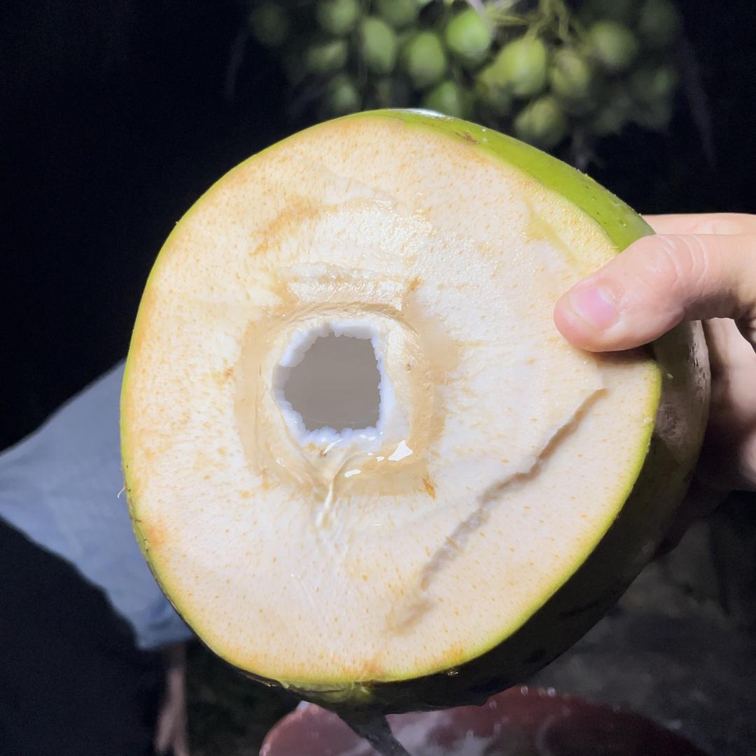 南果严选(孕妈妈宝宝椰子)