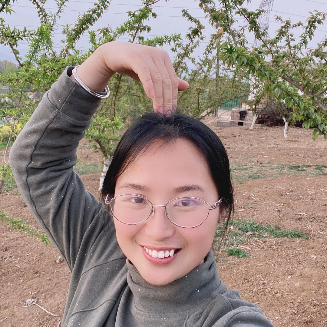 西瓜妹（高价收红苕）