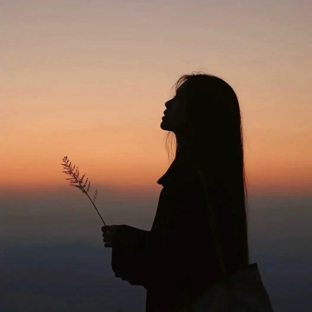 槐序深巷
