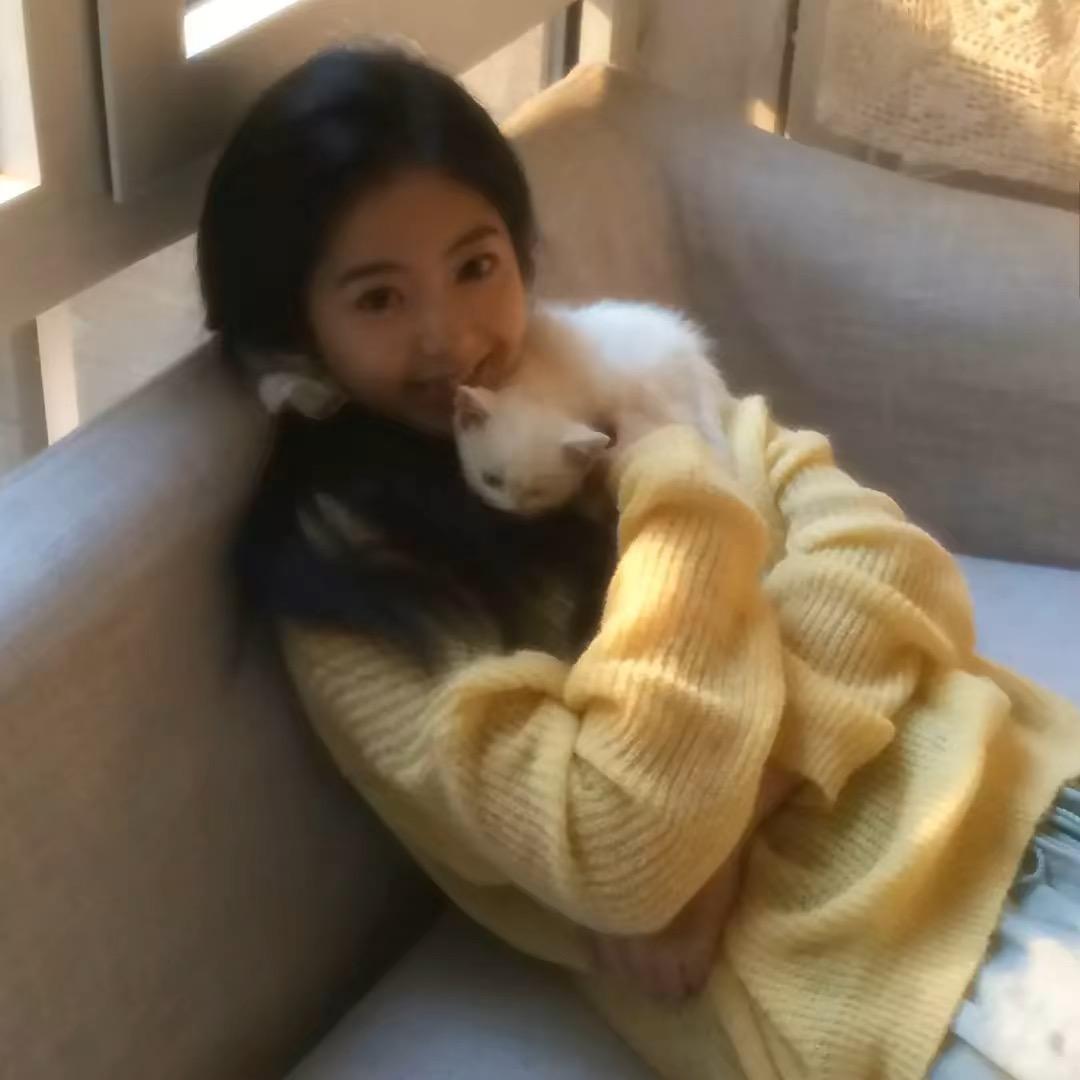 把你脑袋按进马桶里