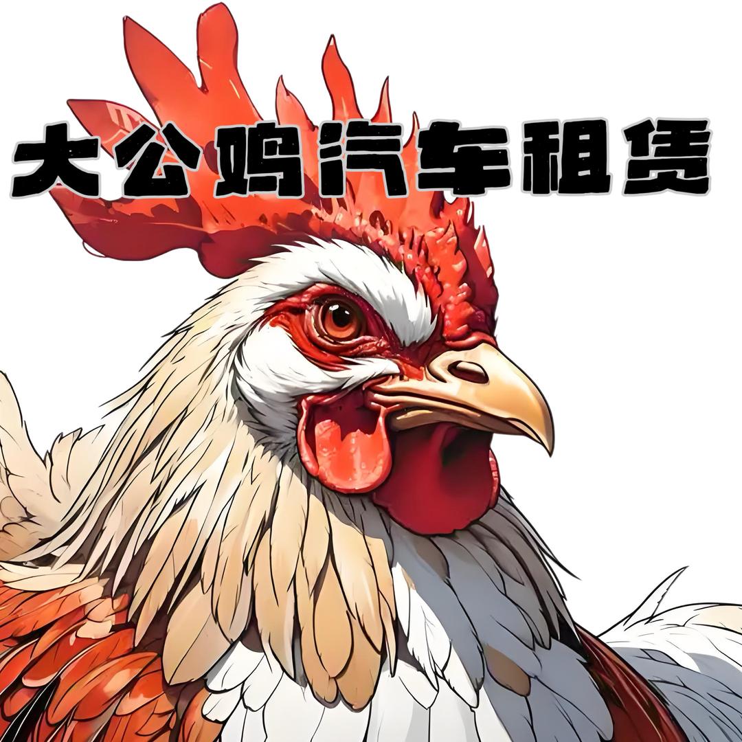重庆大公鸡租赁