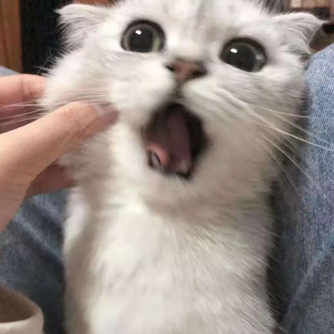 ˃̶͈ ꇴ ˂̶͈