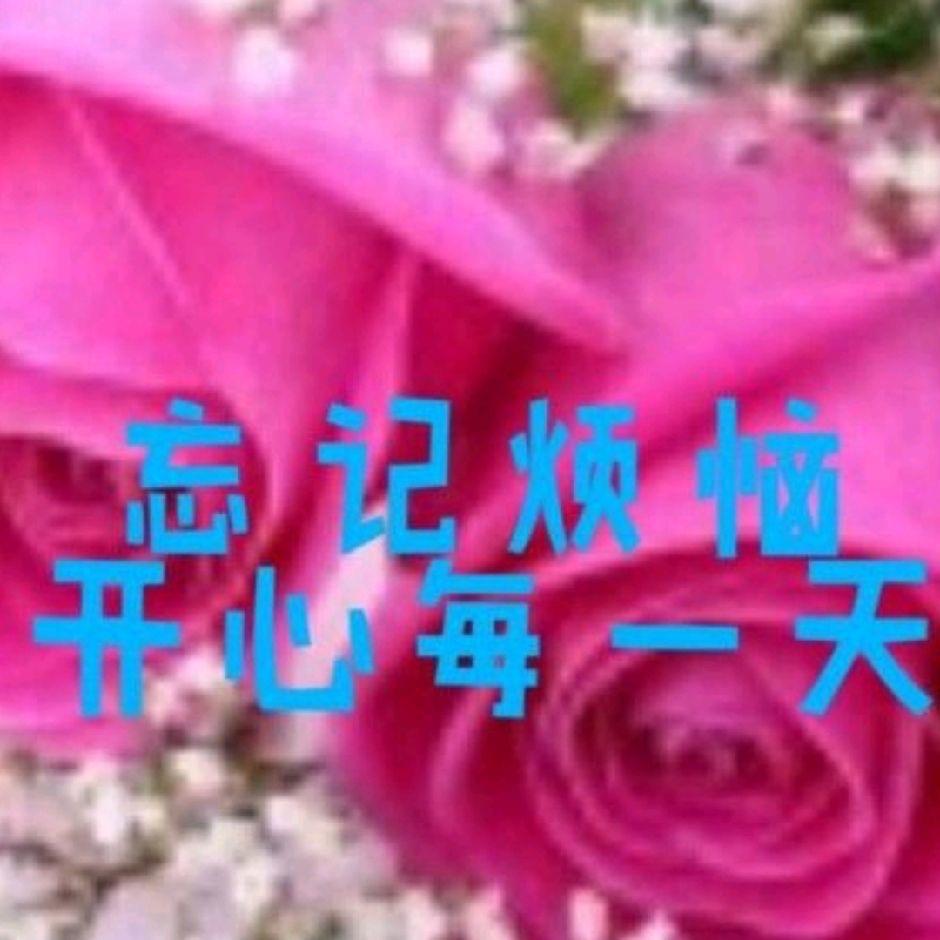 娥姐🌺