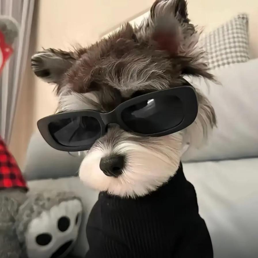 碎雨‼️货代版