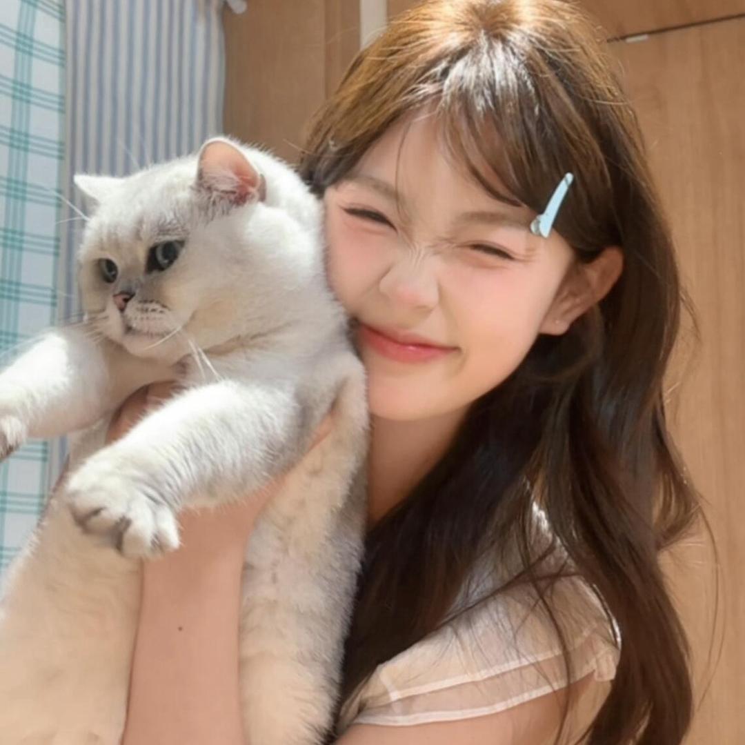 &甜宠猫.