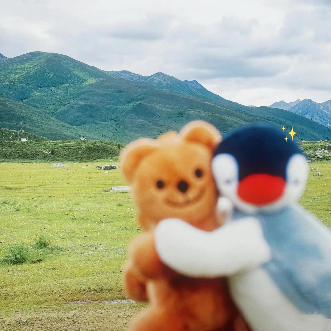 曼羊羊🐑
