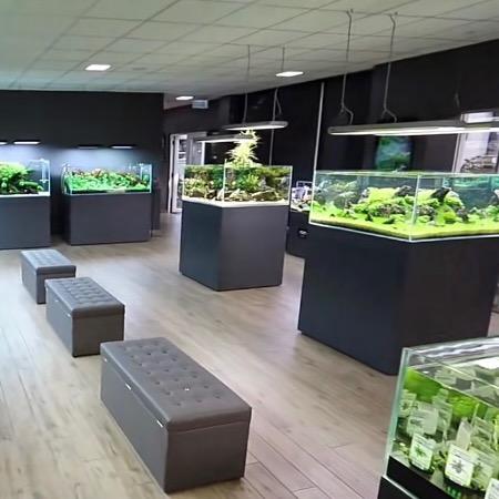 花江月水族(水草造景)