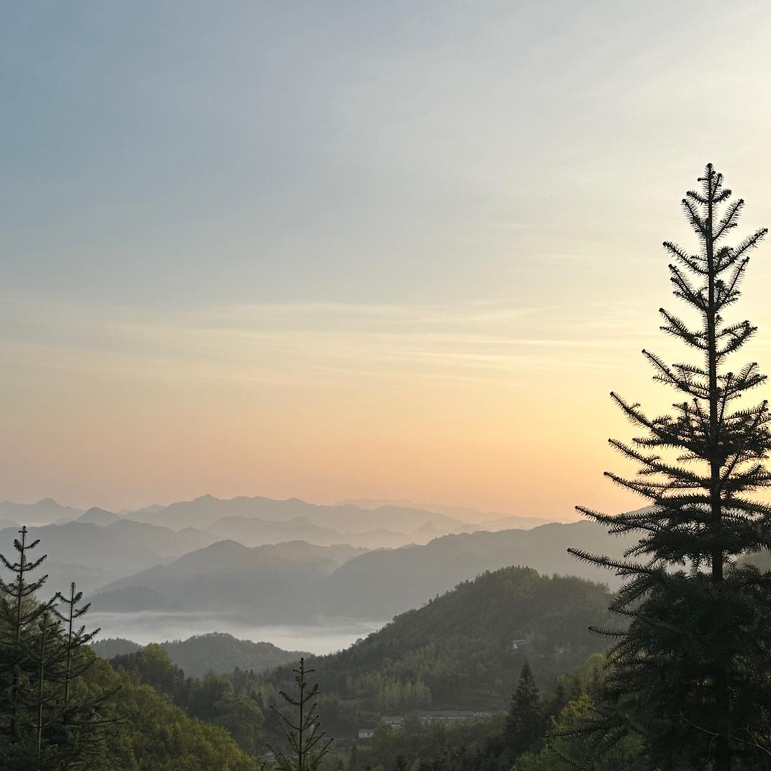夏天的风我永远记得