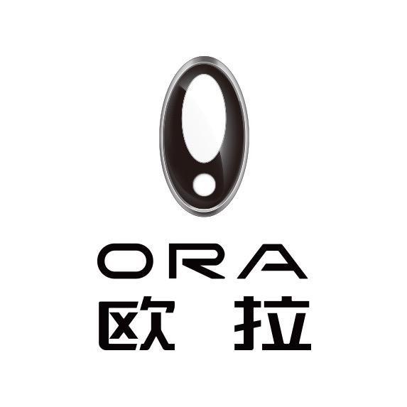 欧拉汽车深圳大兴宝锦