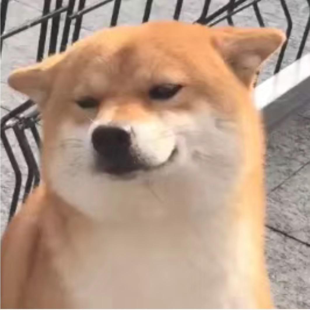 1101