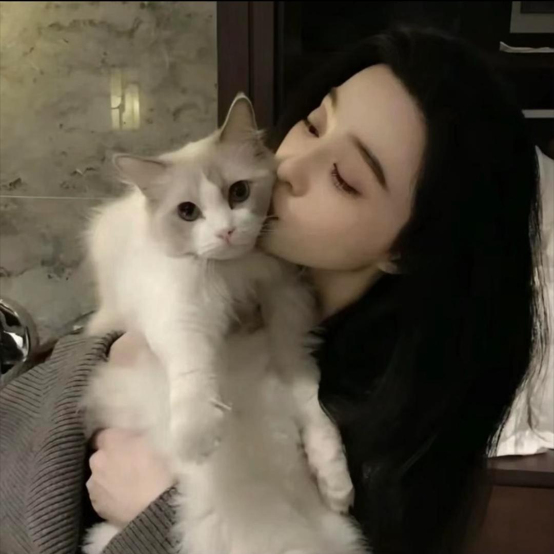 鱼晚晚-