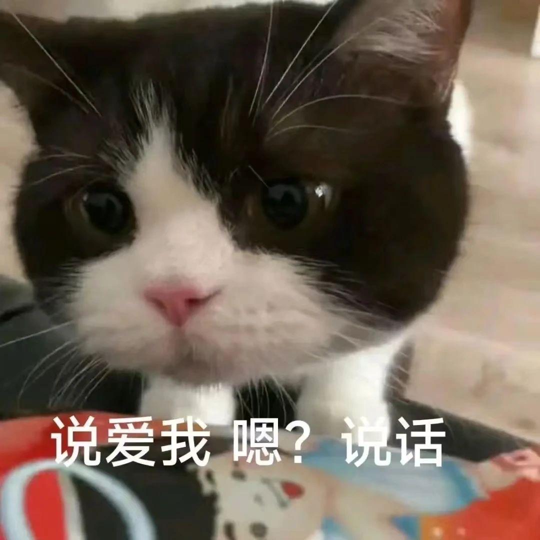 渔
