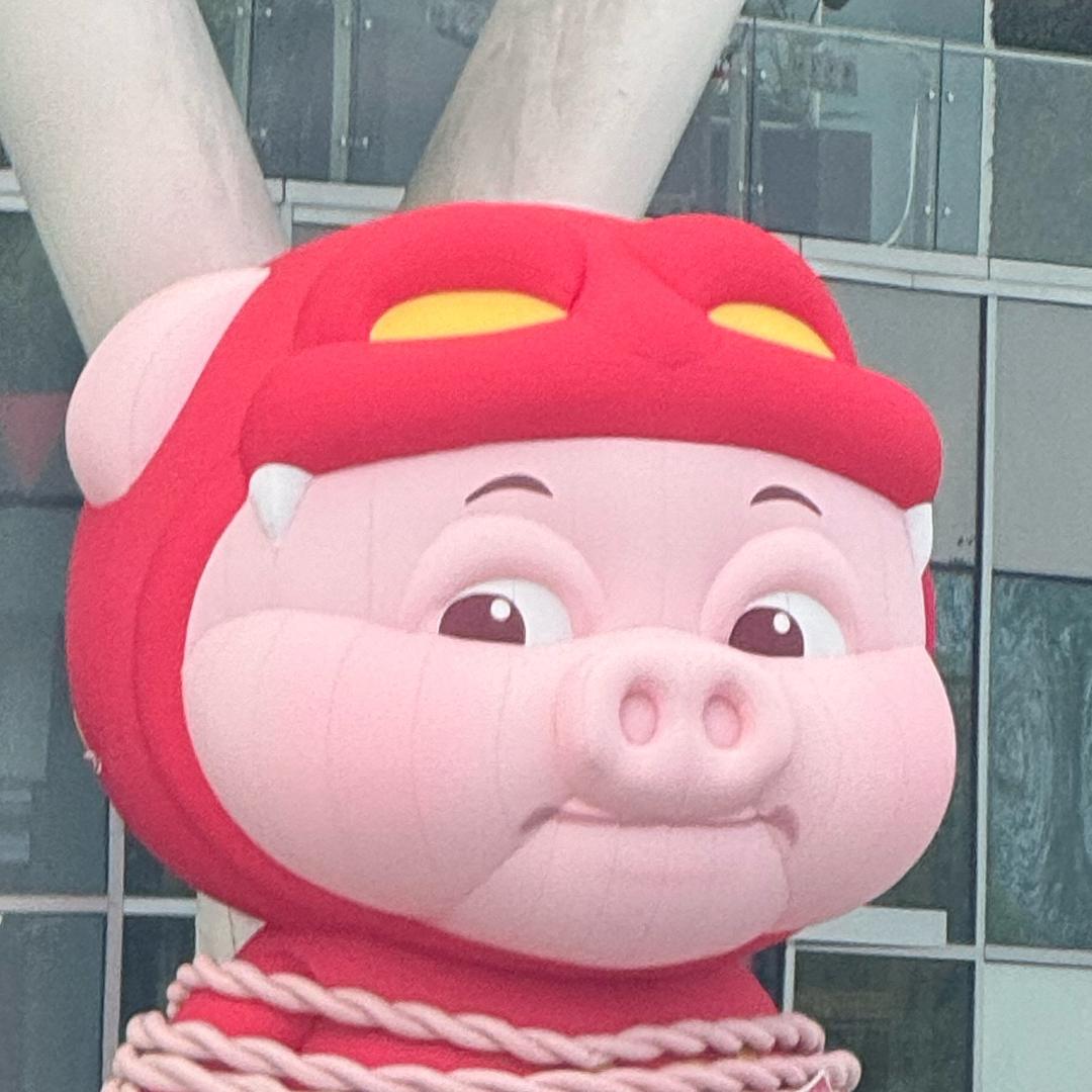 玩鱼君