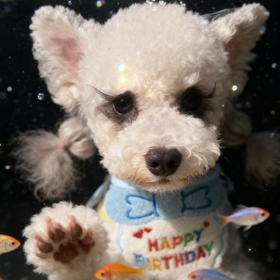 🌈笑嘻嘻哈哈哈哈