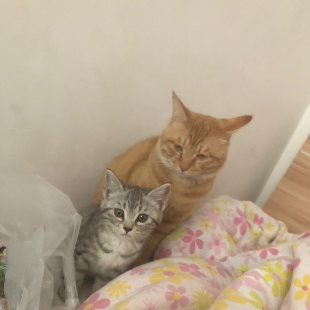 输输赢赢早晚平衡