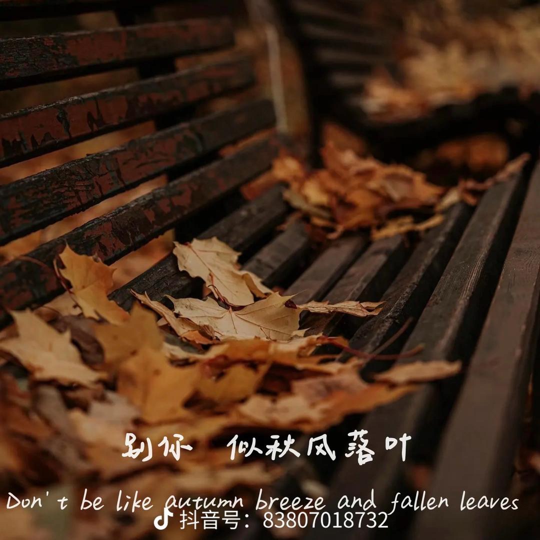 恁姨