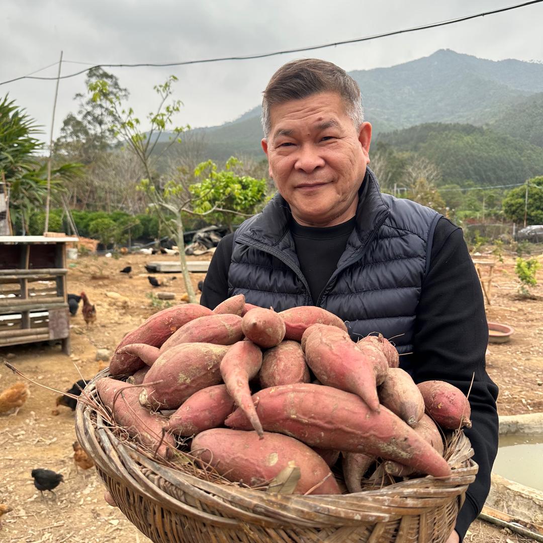 澎恰恰助力三农