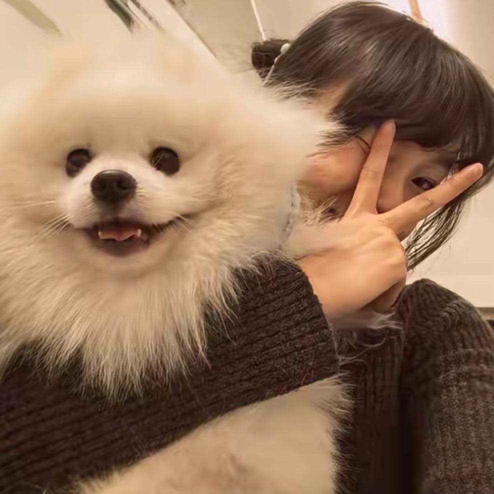 爱吃土豆哦～