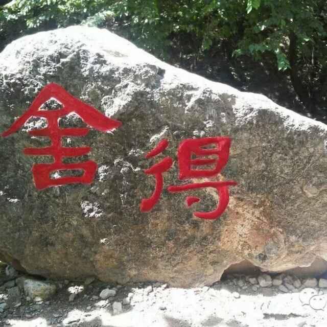 生命之源
