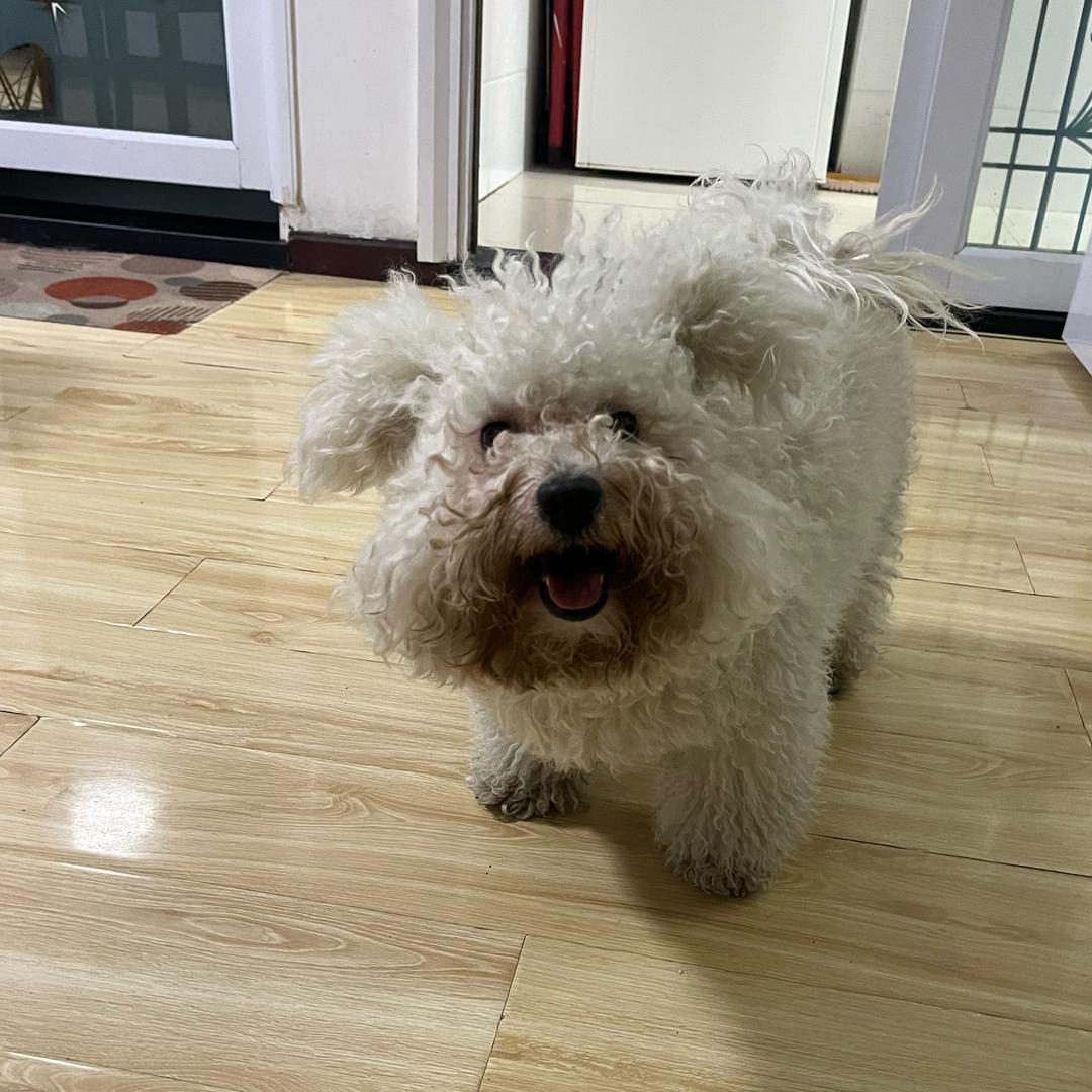 ༨安静头像