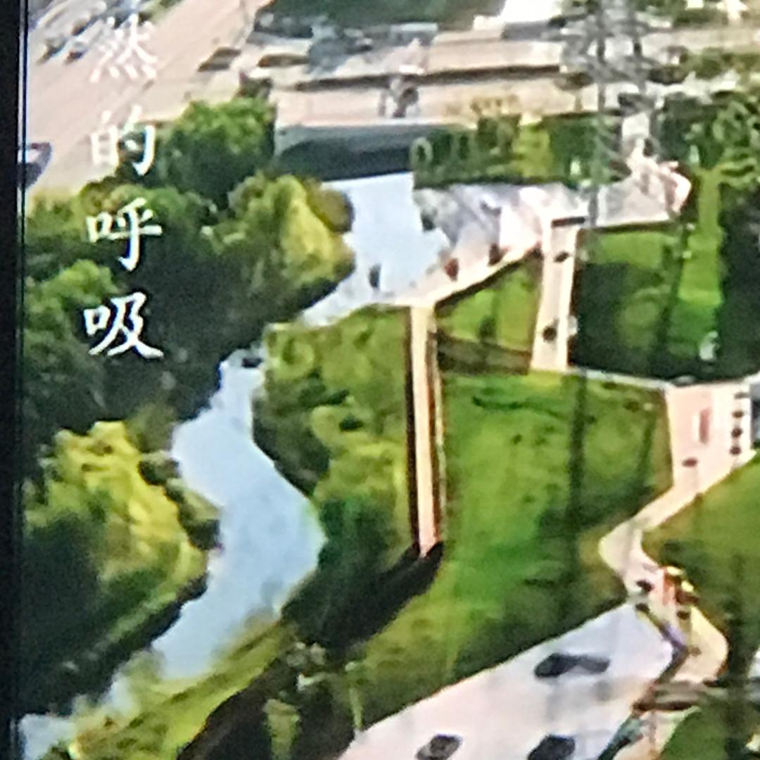 薰衣草