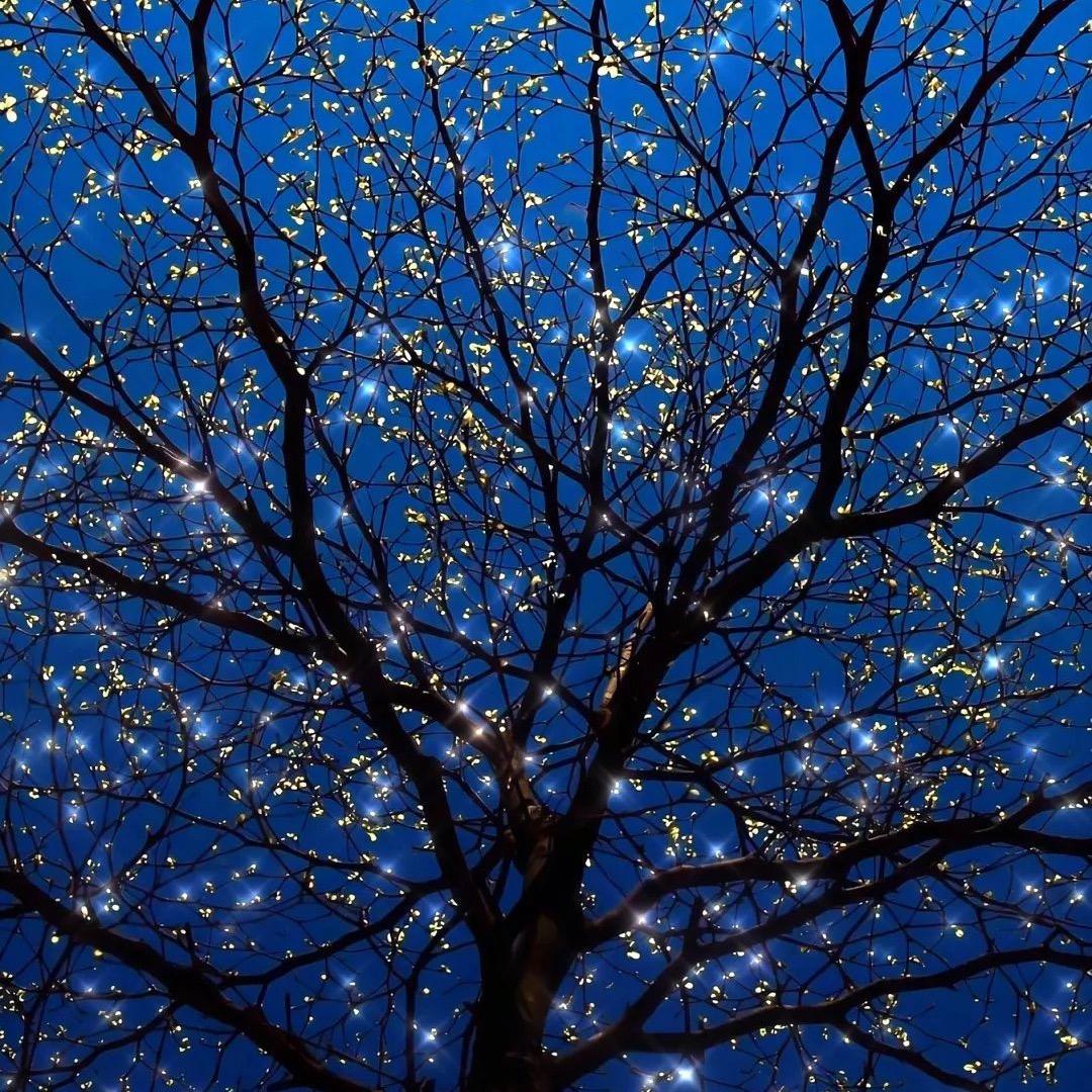 Aཀ大ཽൢ圣ཽൢ༼