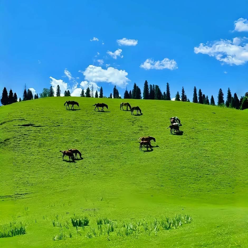 白锦浩