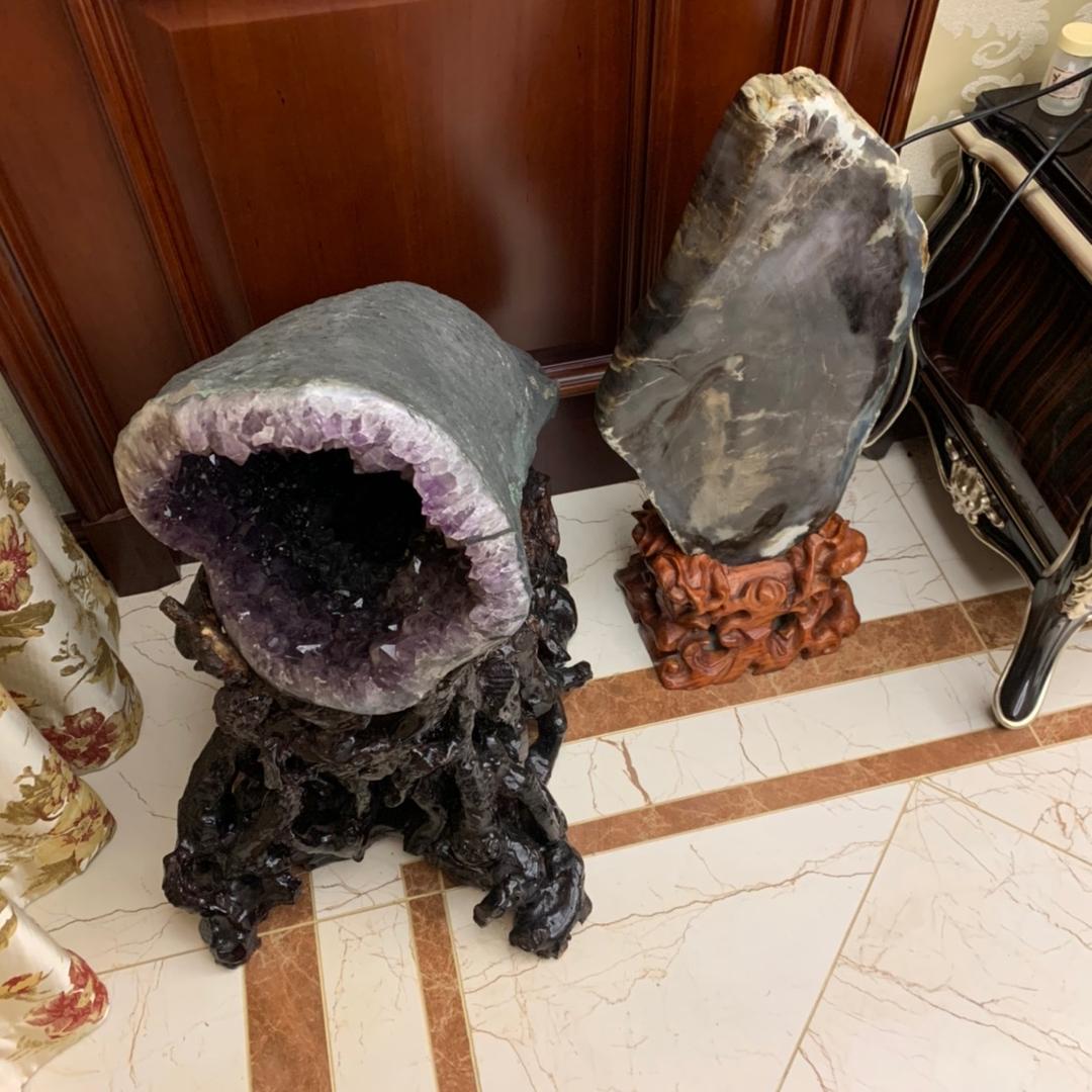 我家的猫不吃鱼🐠