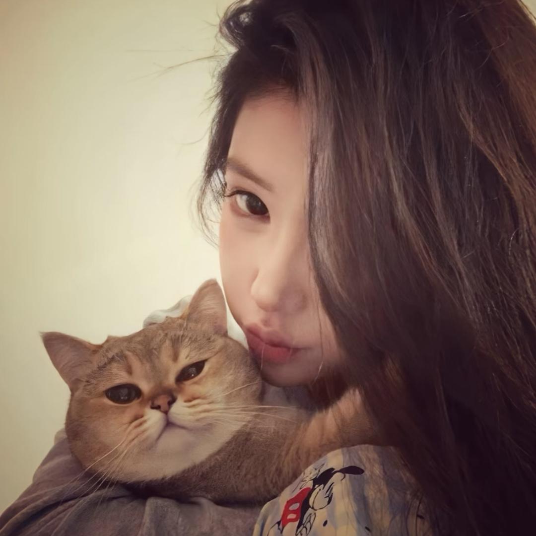 我叫不高兴的不高兴