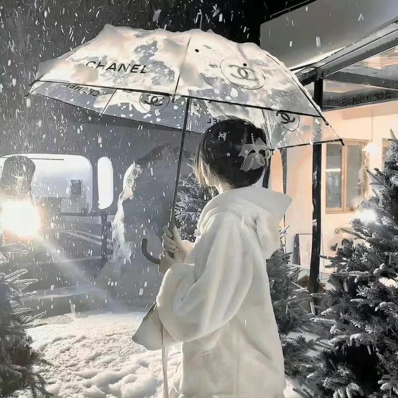 啊雪宝
