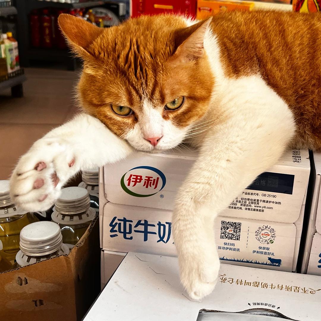 爱吃零食