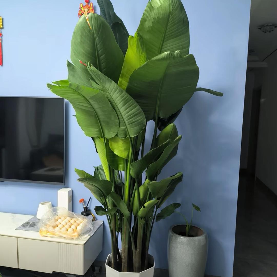 百花开园艺