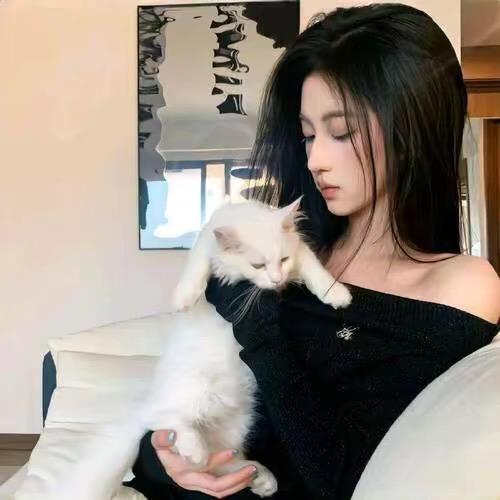 江雪儿