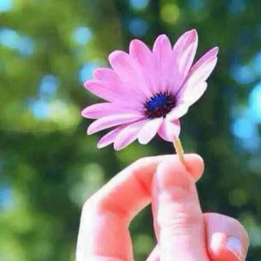 安多洛桑经典老歌