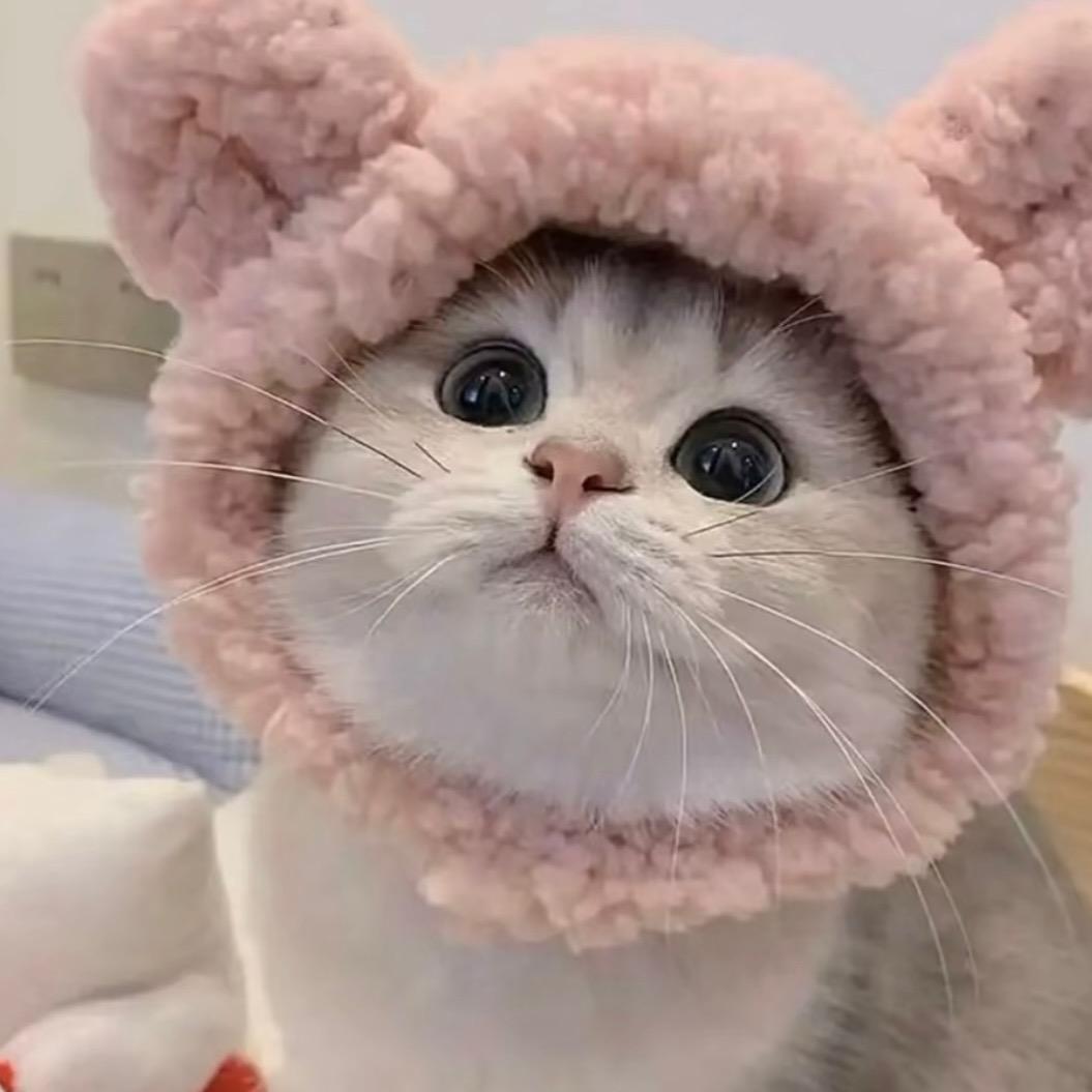 奶一口🌸