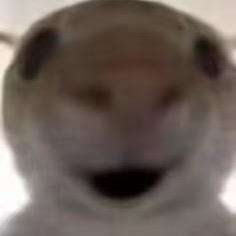 大大怪将军（萌新2指）