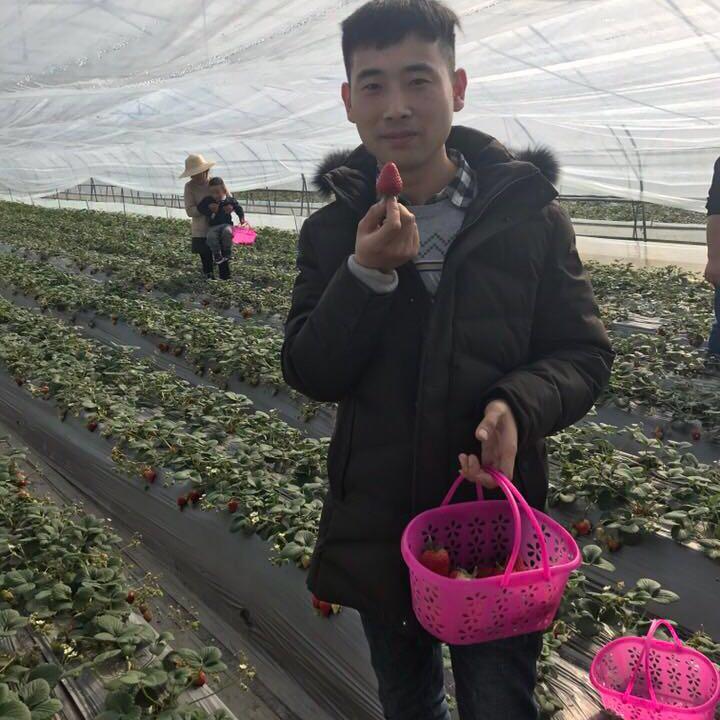 皮蛋~好物优选小店