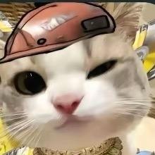 喜欢吃