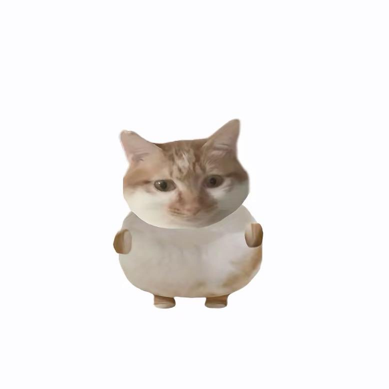 10117