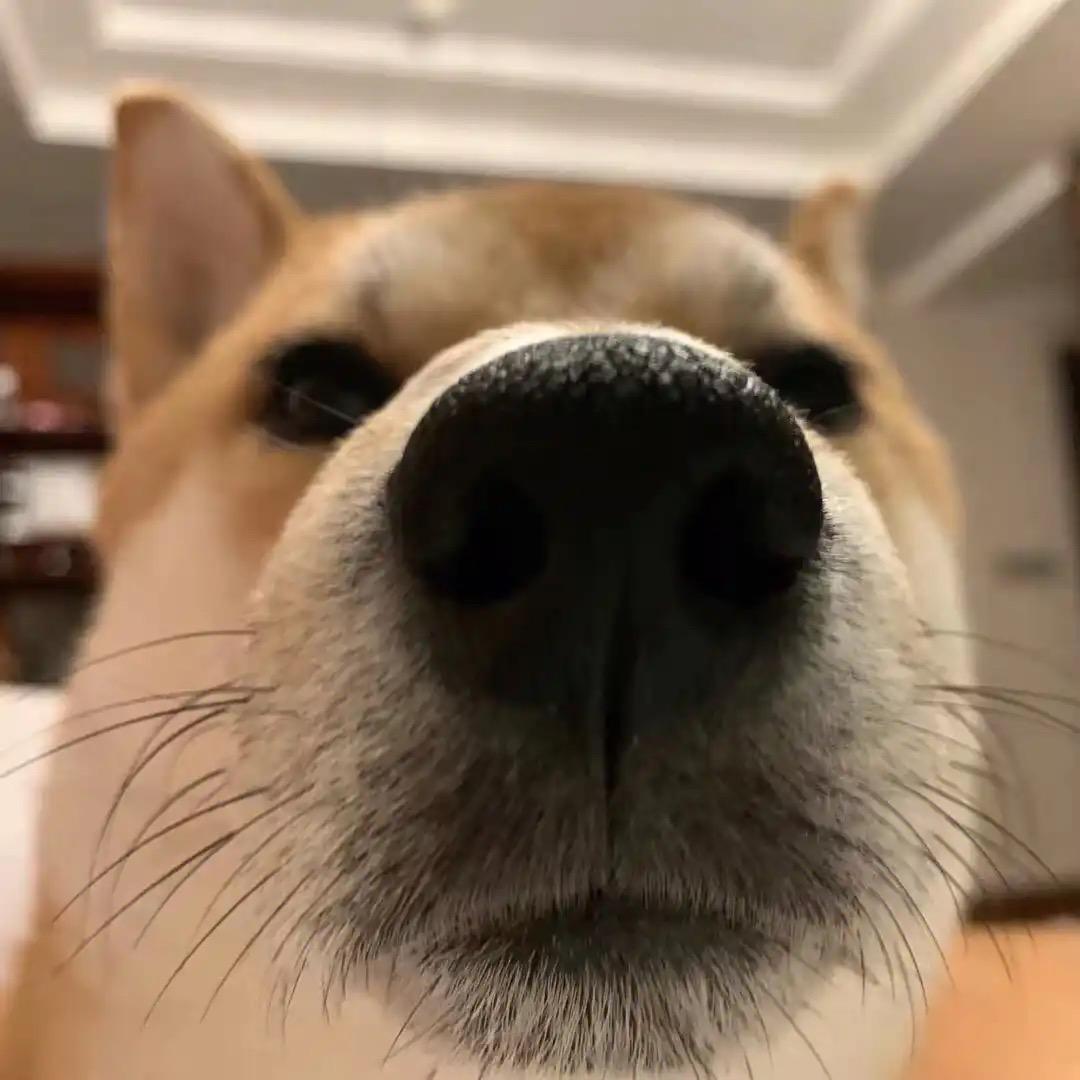 🌗牢笼&