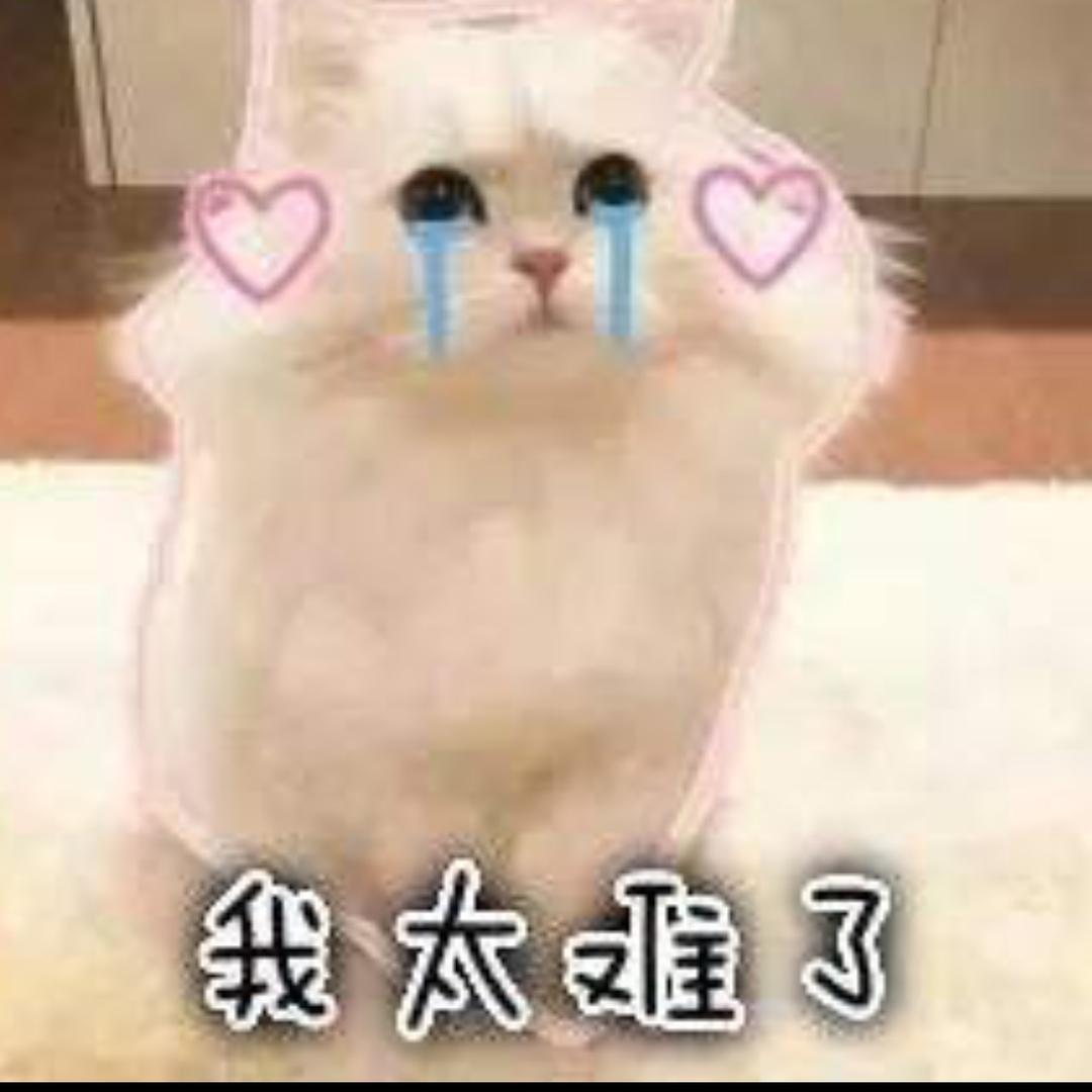 ⊙﹏⊙